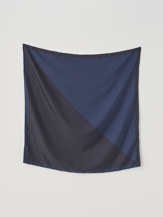 bicolor Silk Scarf | SF752 詳細画像 NO1(L03530SF752_ＭＩＤxＨＭＢ) 2