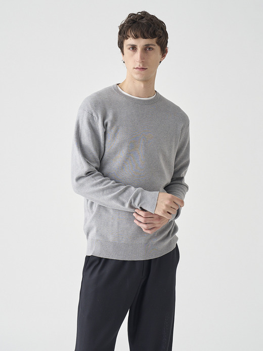 ［Sea Island Cotton］インターロック長袖コットンニットプルオーバー | A4896 | 30G 詳細画像 SILVER 3