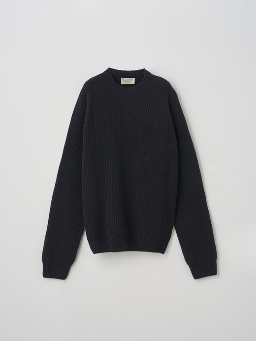 ［Eco Cashmere］カシミヤ混 リブクルーネックニットプルオーバー | LYLLA | 7G 詳細画像 BLACK 1