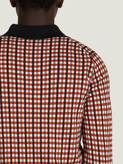【MAXIMILIAN RAYNORxJOHN SMEDELEY】Gingham Poloshirt｜MR003 詳細画像 NO2(MR003) 2